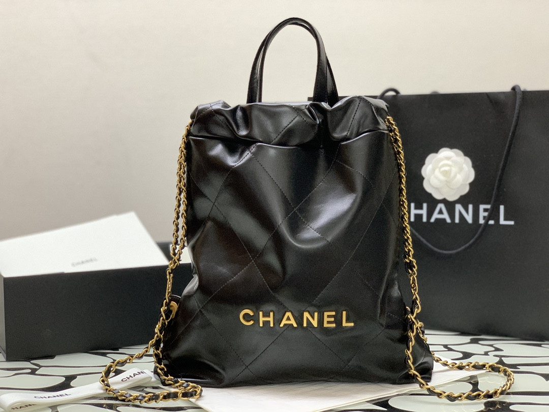 Chanle 22 Backpack