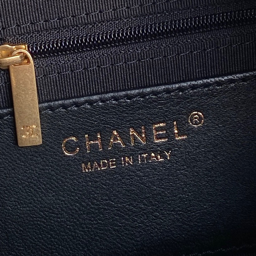 Chanel 25c Hobo Bag