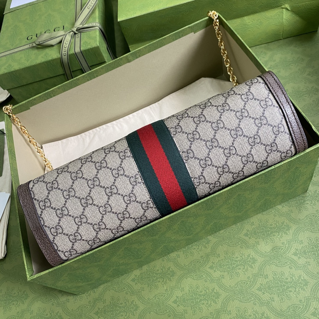 Gucci Ophidia Bag