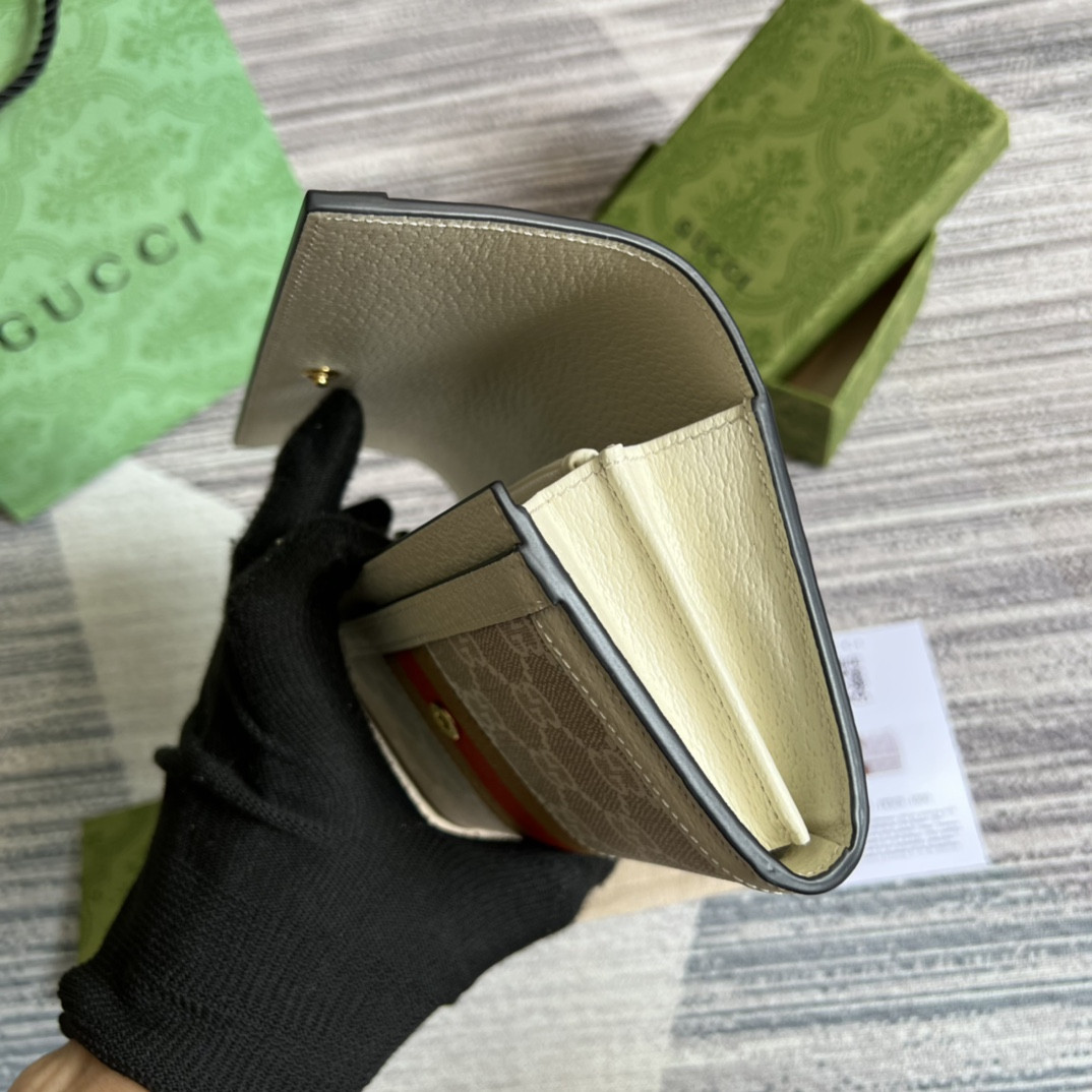 Gucci Ophidia Bag