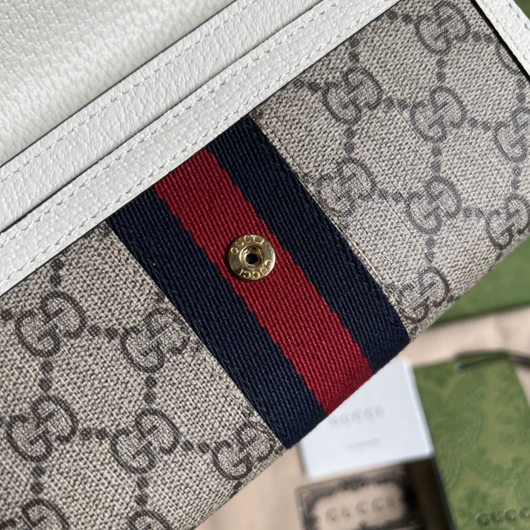 Gucci Ophidia Bag