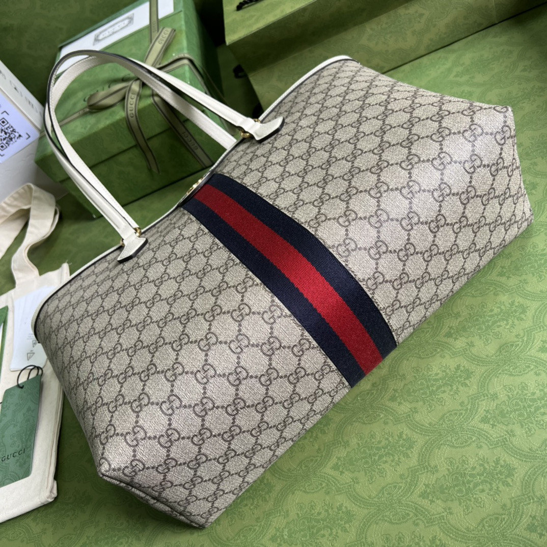 Gucci Ophidia Bag