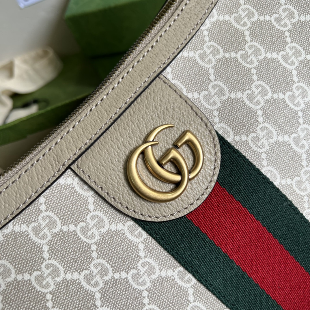 Gucci Ophidia Bag