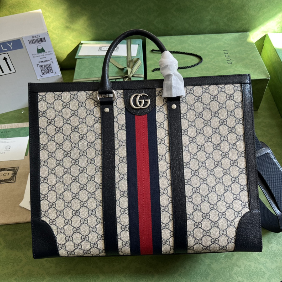 Gucci Ophidia Bag