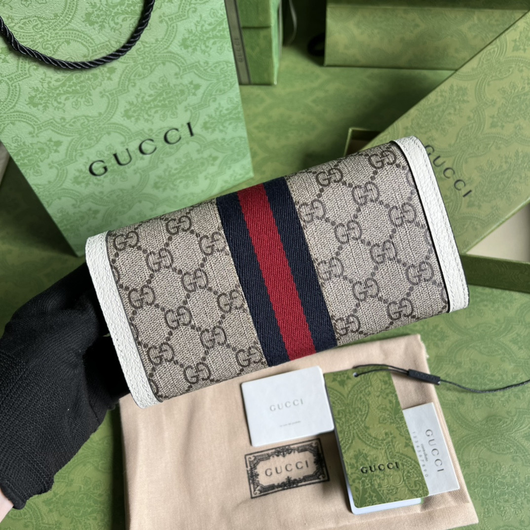 Gucci Ophidia Bag