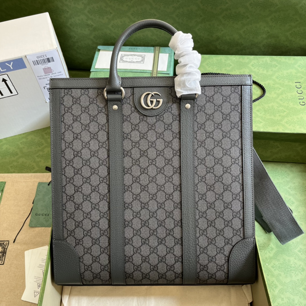 Gucci Ophidia Bag