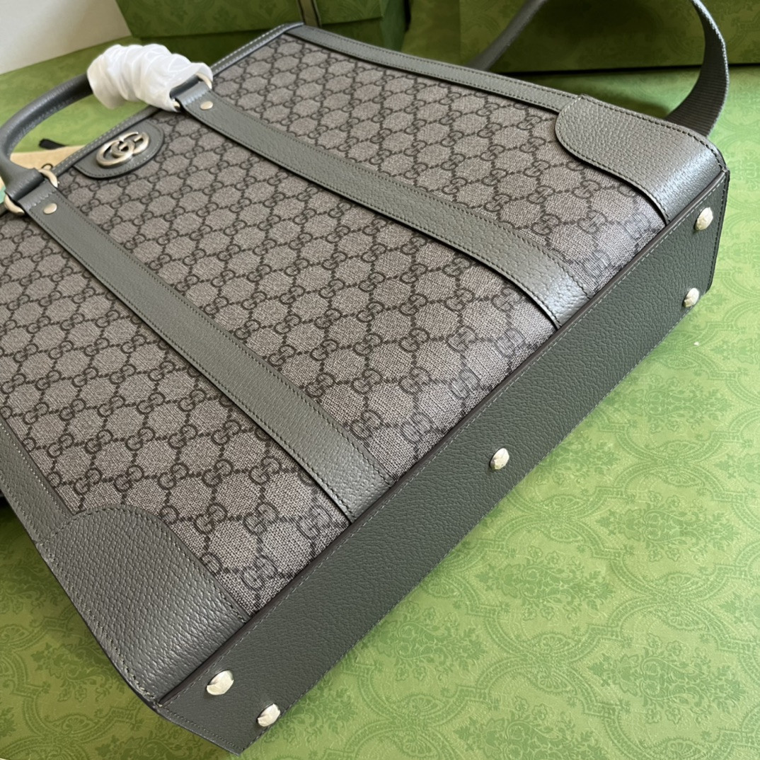 Gucci Ophidia Bag