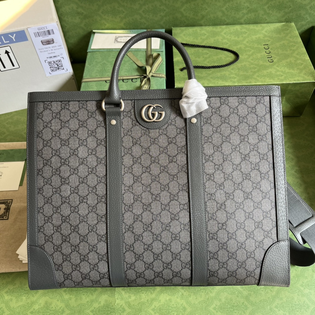 Gucci Ophidia Bag
