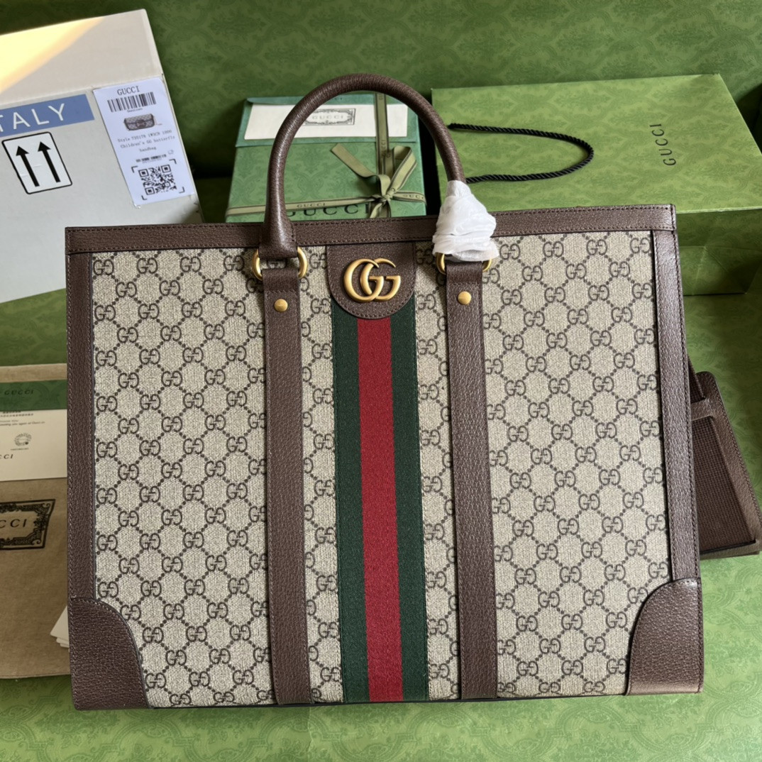 Gucci Ophidia Bag