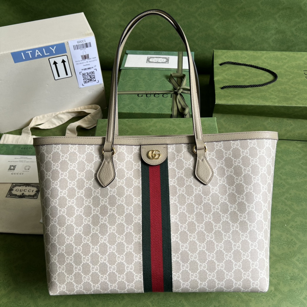 Gucci Ophidia Bag