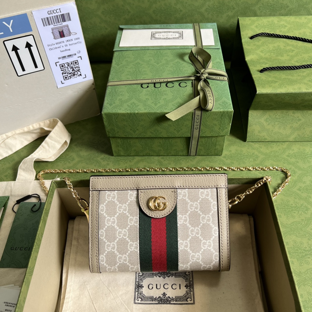 Gucci Ophidia Bag