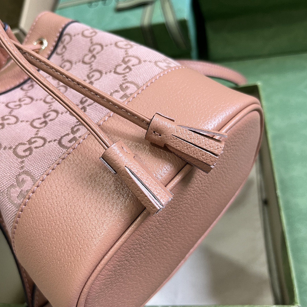 Gucci Ophidia Bag