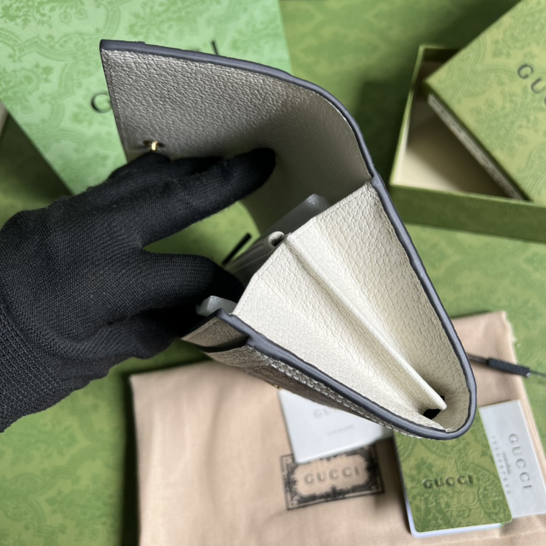 Gucci Ophidia Bag