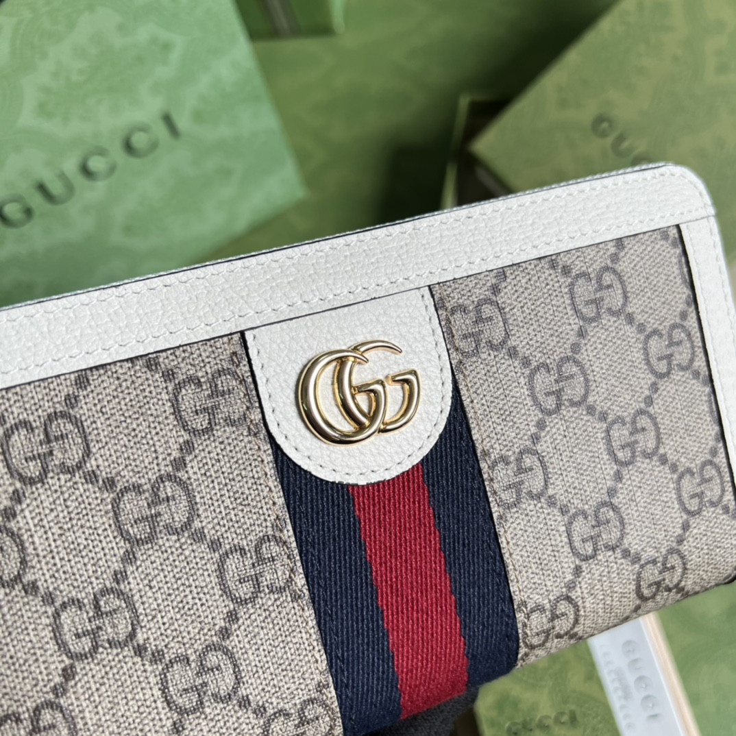 Gucci Ophidia Bag
