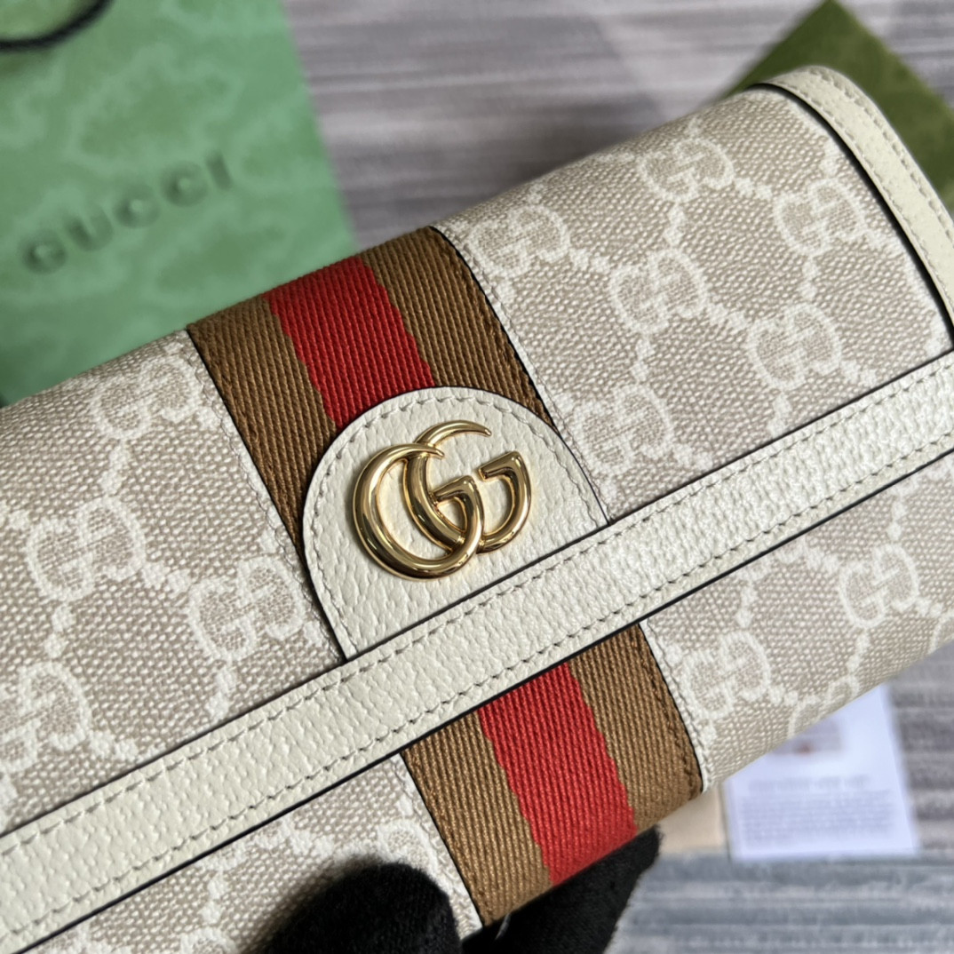 Gucci Ophidia Bag