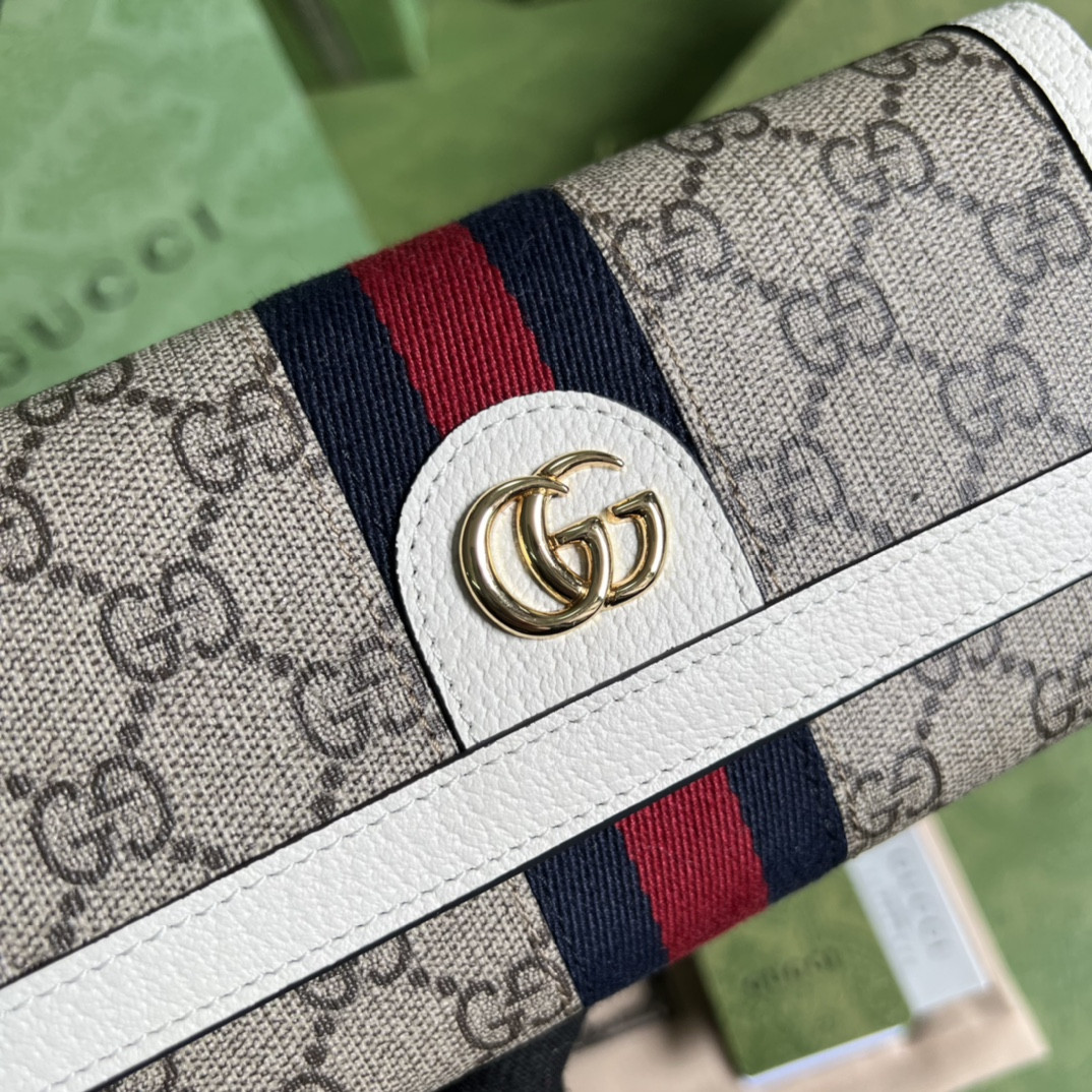 Gucci Ophidia Bag
