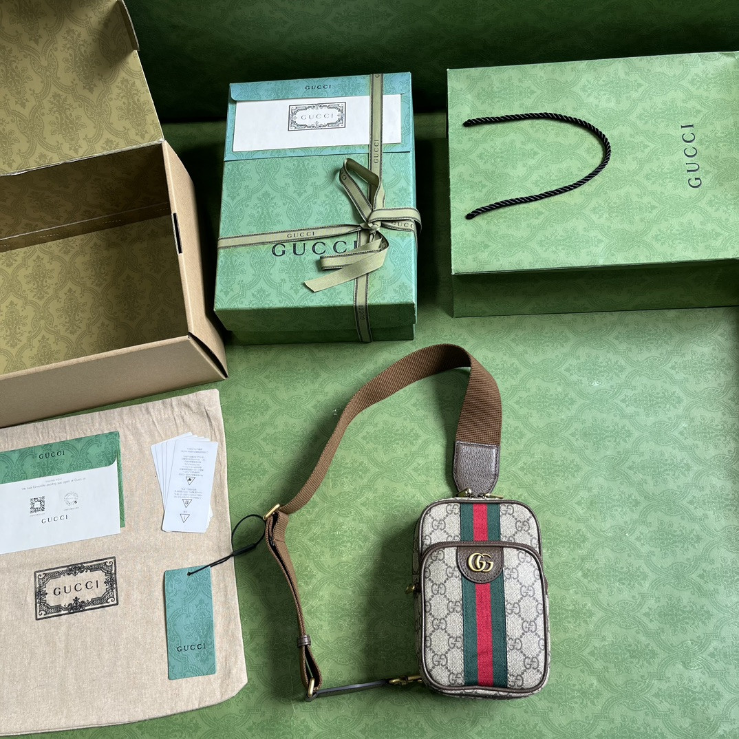 Gucci Ophidia Bag