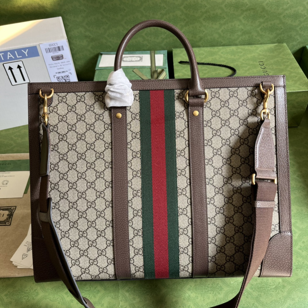 Gucci Ophidia Bag