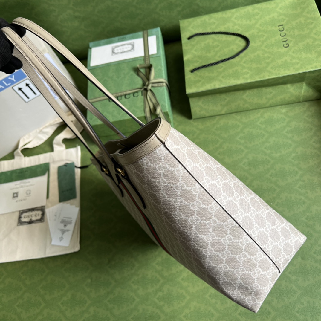 Gucci Ophidia Bag