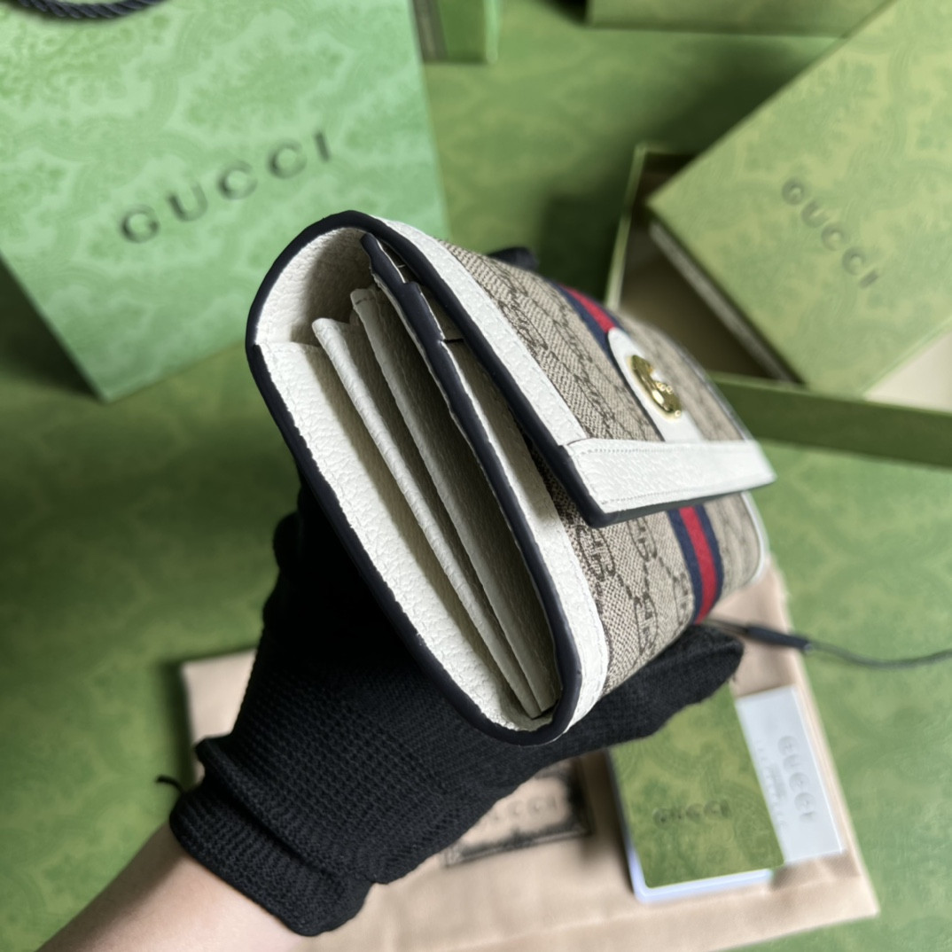 Gucci Ophidia Bag