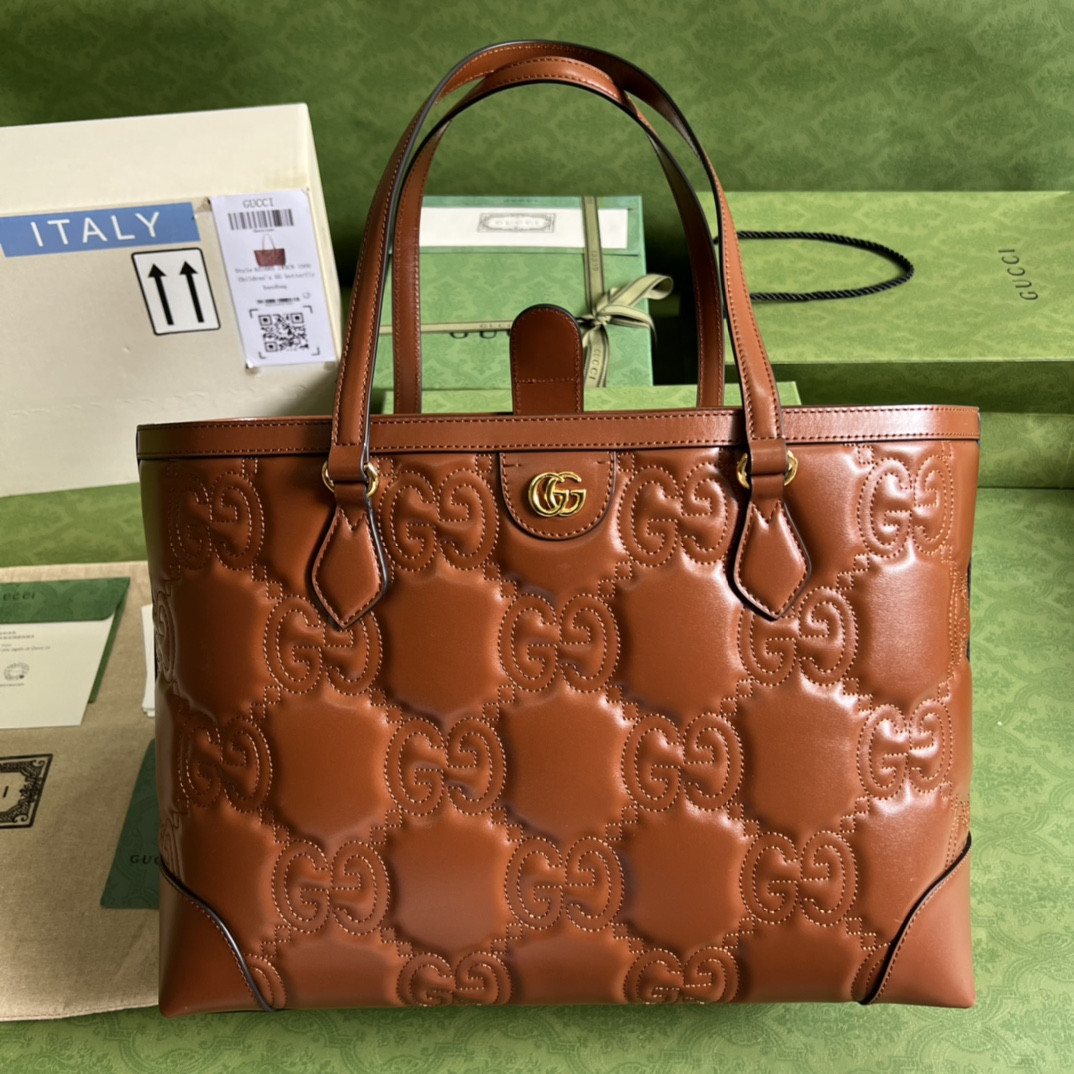 Gucci Ophidia Bag
