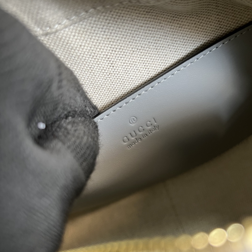 Gucci Ophidia Bag