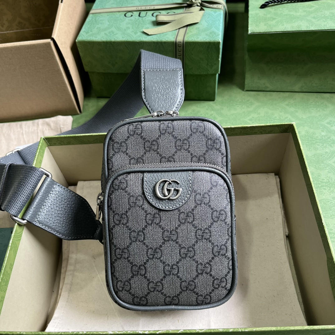 Gucci Ophidia Bag