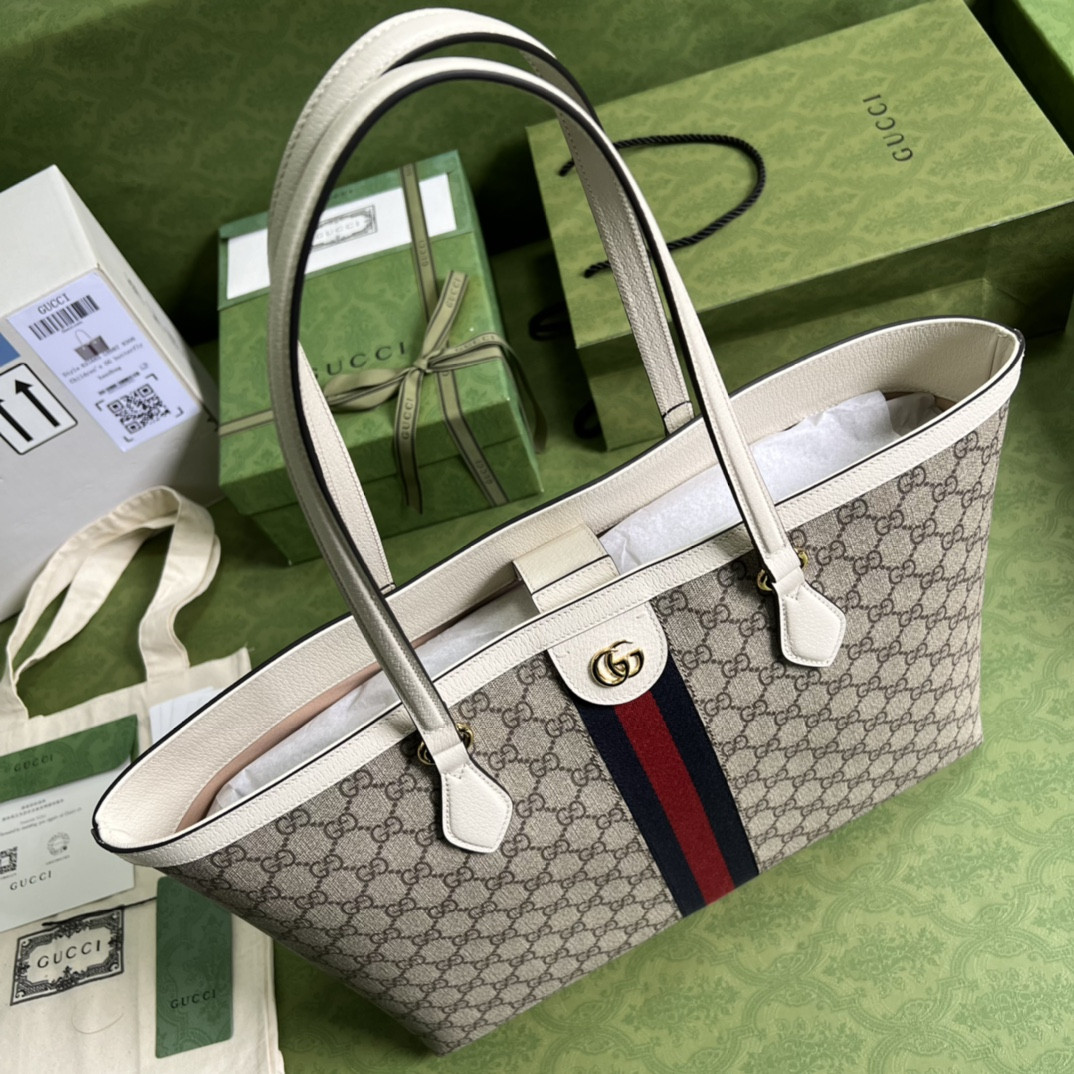 Gucci Ophidia Bag