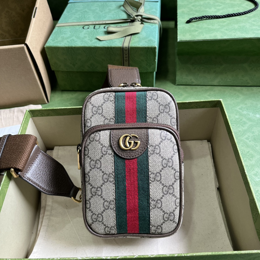 Gucci Ophidia Bag