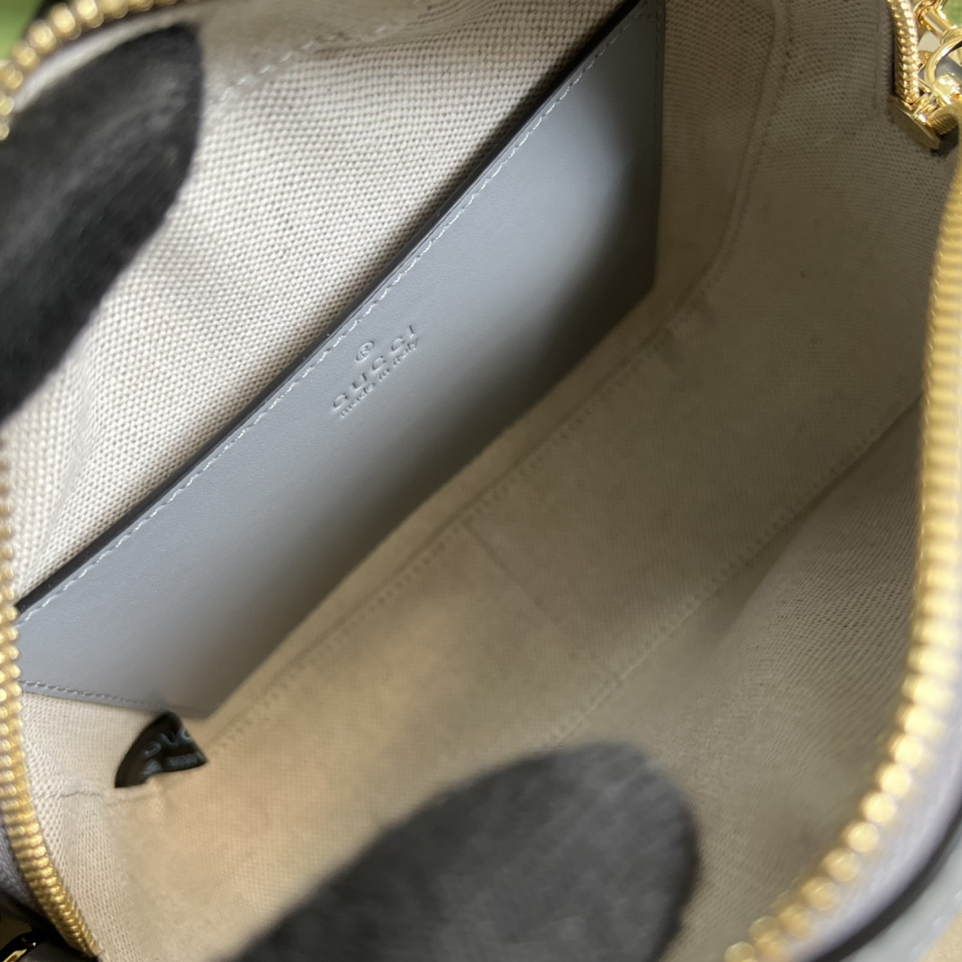 Gucci Ophidia Bag